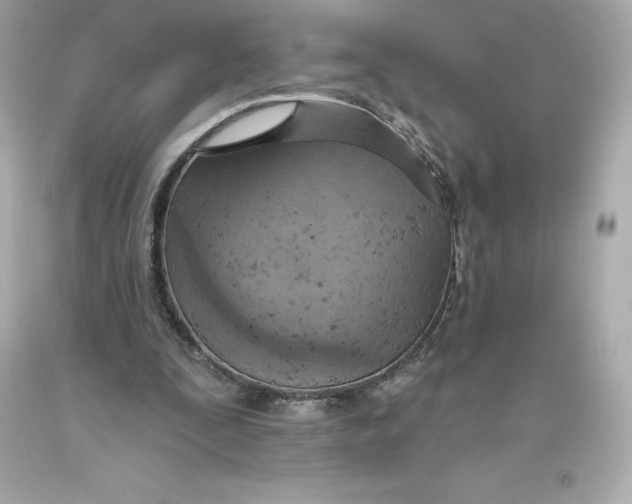 X0000093620295200711051245