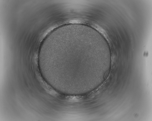 X0000093620297200711051245