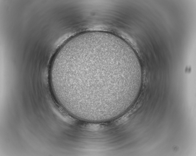 X0000093620298200711051245