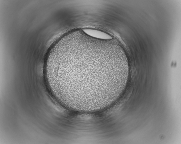 X0000093620299200711051245