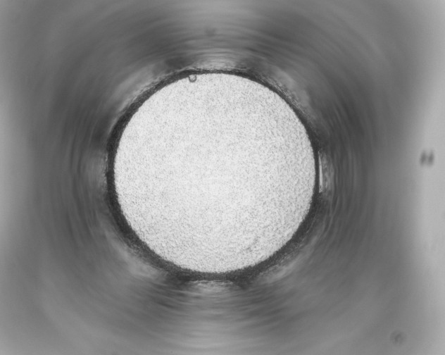 X0000093620300200711051245