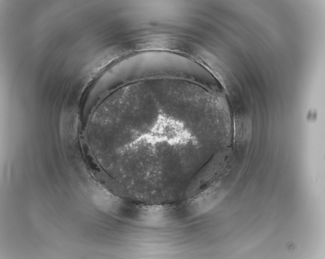 X0000093620301200711051245