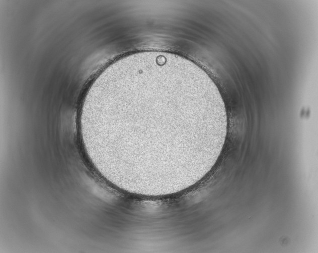 X0000093620302200711051245