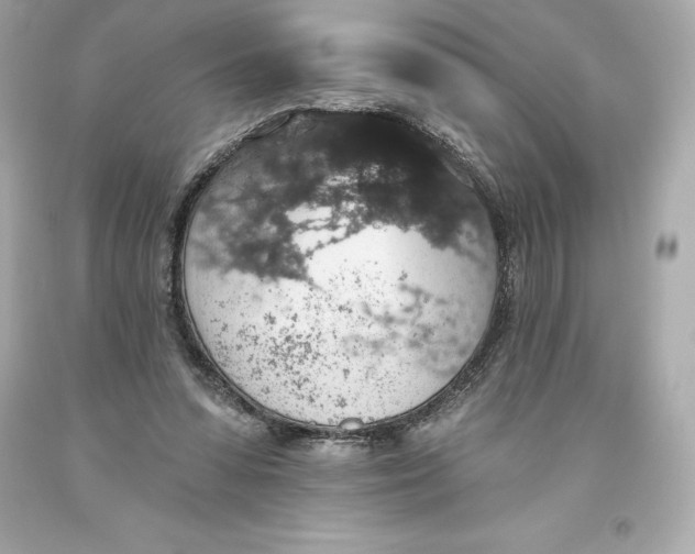 X0000093620303200711051245