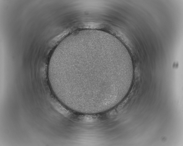 X0000093620305200711051245