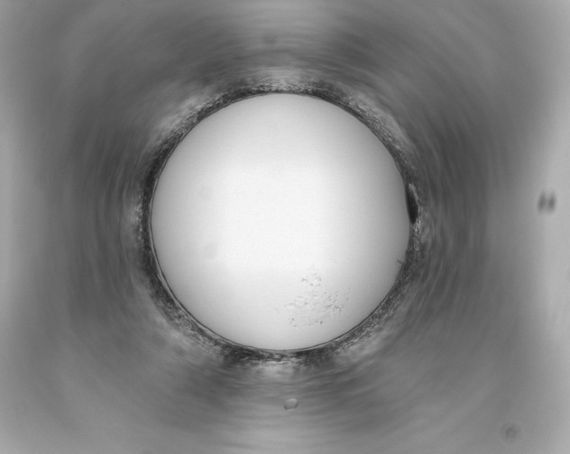 X0000093620306200711051245