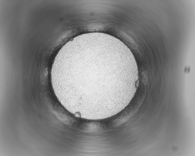 X0000093620308200711051244