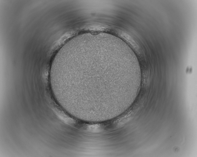 X0000093620309200711051244