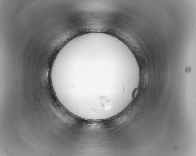 X0000093620310200711051244