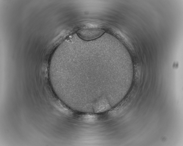 X0000093620313200711051244