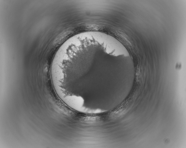 X0000093620314200711051244