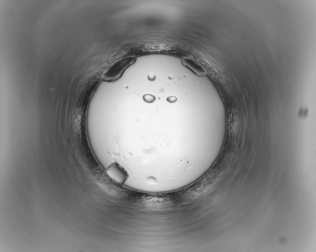 X0000093620315200711051244