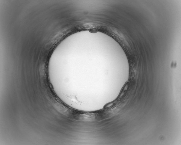 X0000093620317200711051244