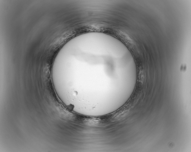 X0000093620318200711051244