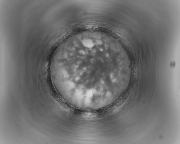 X0000093620319200711051244