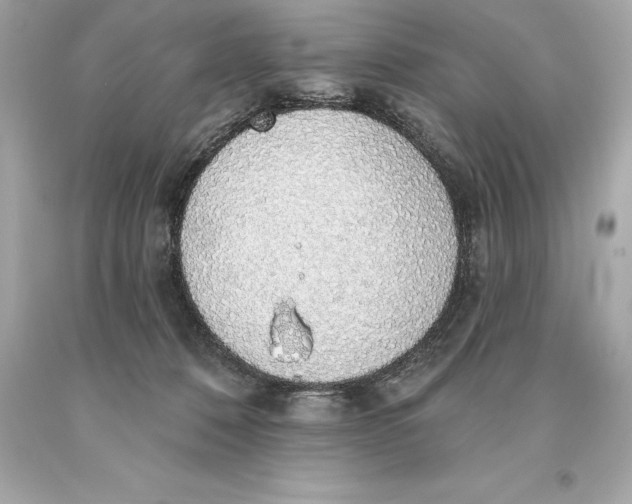 X0000093620320200711051244