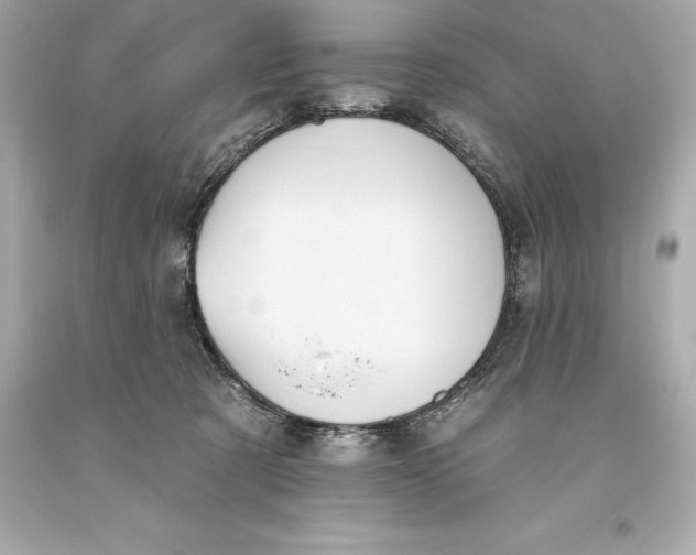 X0000093620321200711051244