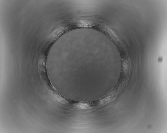 X0000093620322200711051244