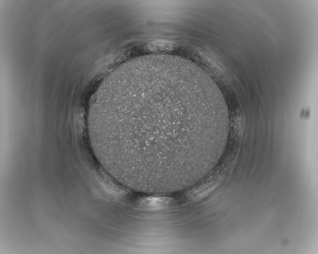 X0000093620323200711051244