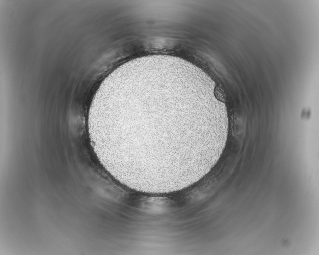 X0000093620324200711051244