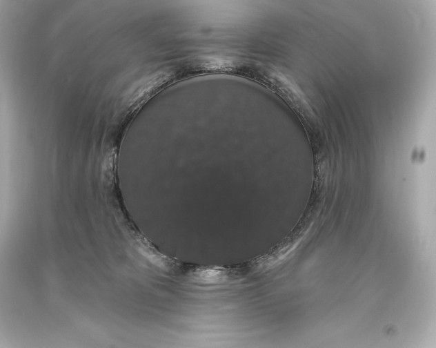 X0000093620325200711051244