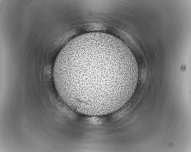 X0000093620326200711051244