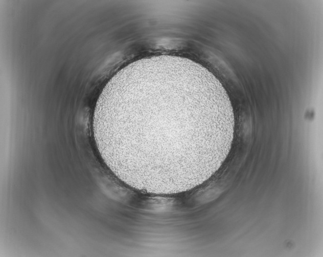 X0000093620328200711051244