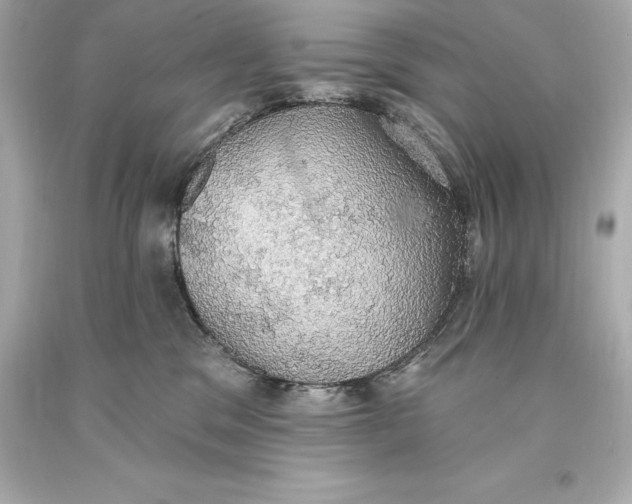 X0000093620329200711051244