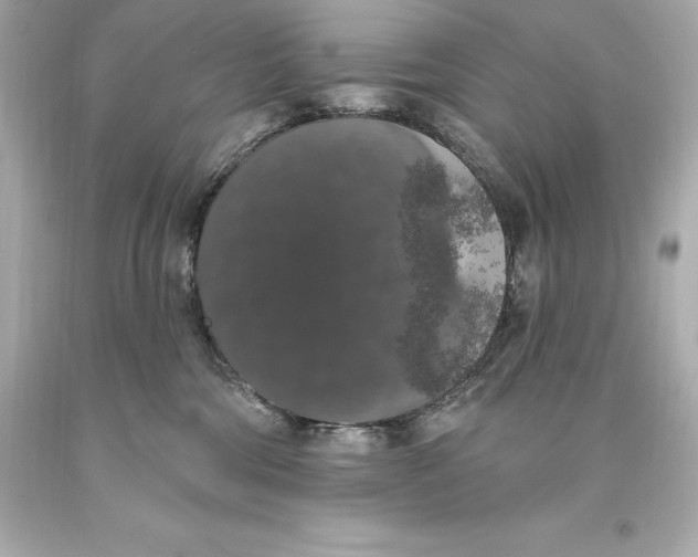 X0000093620330200711051244