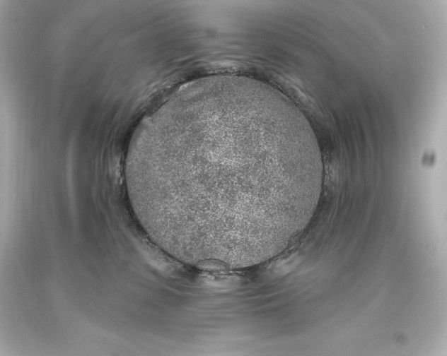 X0000093620331200711051244