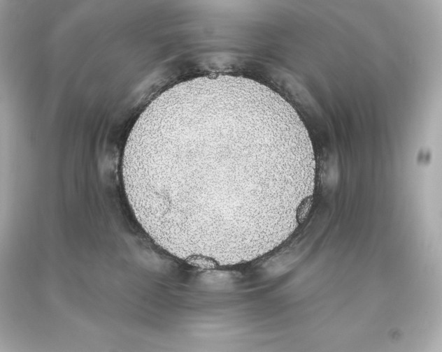 X0000093620332200711051244