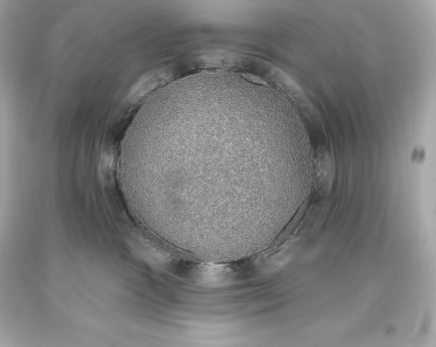 X0000093620333200711051244