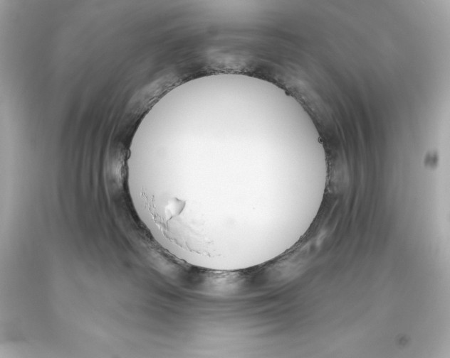 X0000093620334200711051244