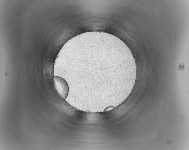 X0000093620336200711051244