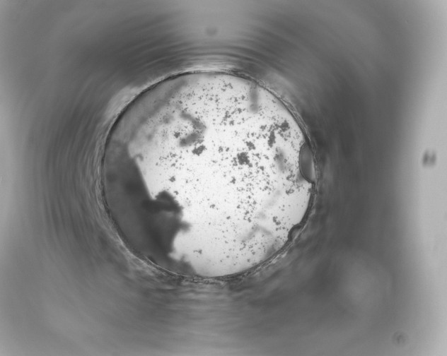 X0000093620337200711051243