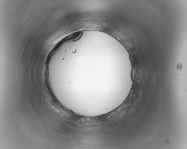 X0000093620338200711051243