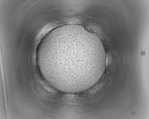 X0000093620339200711051243