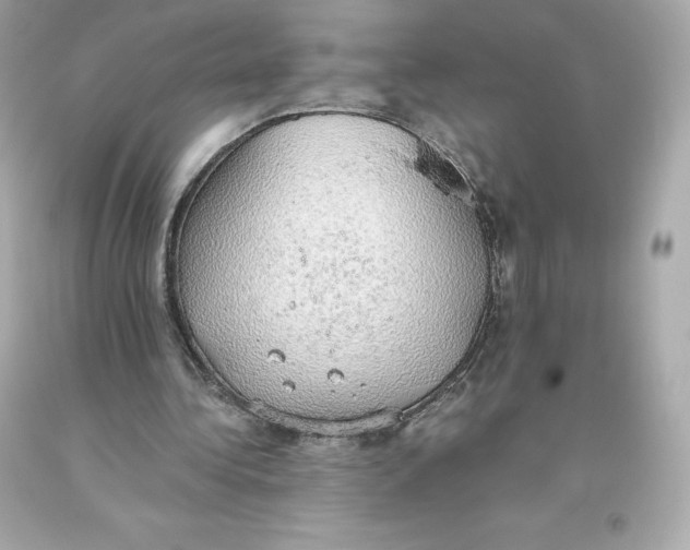 X0000093620340200711051243