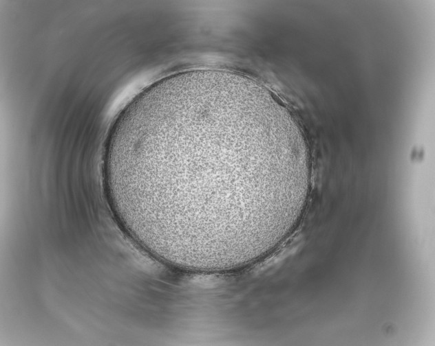 X0000093620341200711051243