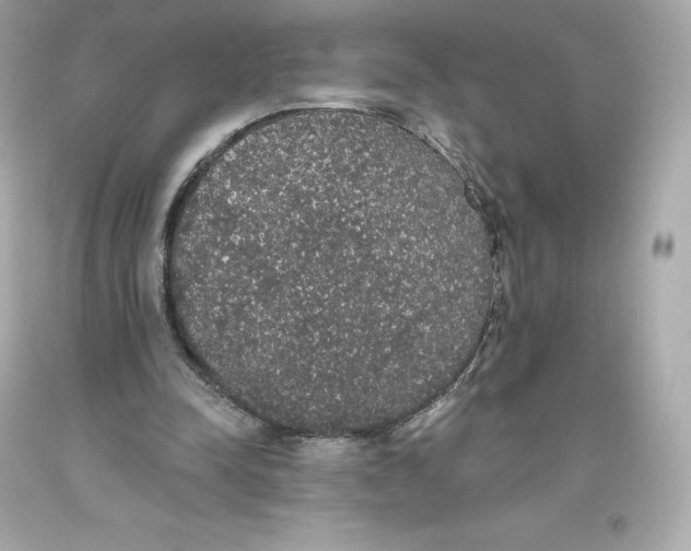 X0000093620342200711051243