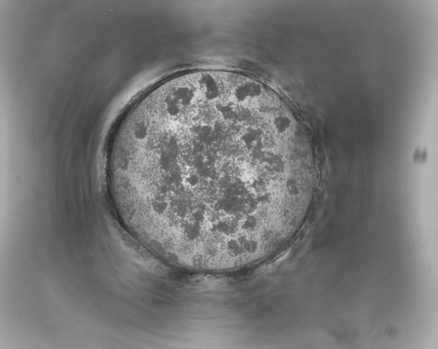 X0000093620343200711051243