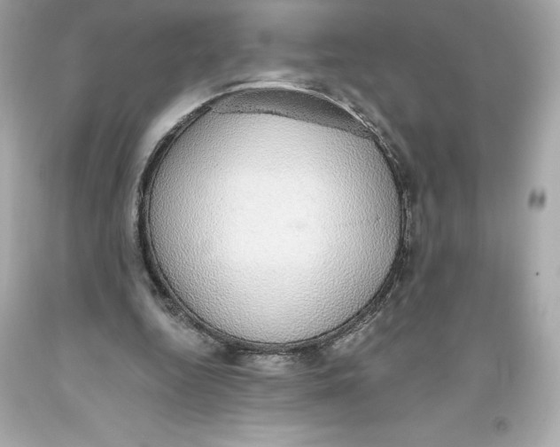 X0000093620344200711051243