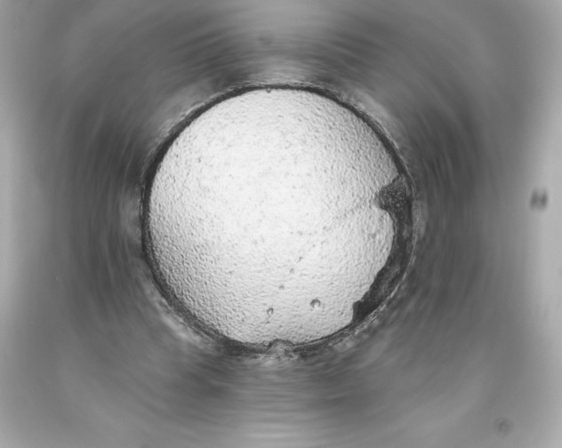 X0000093620345200711051243