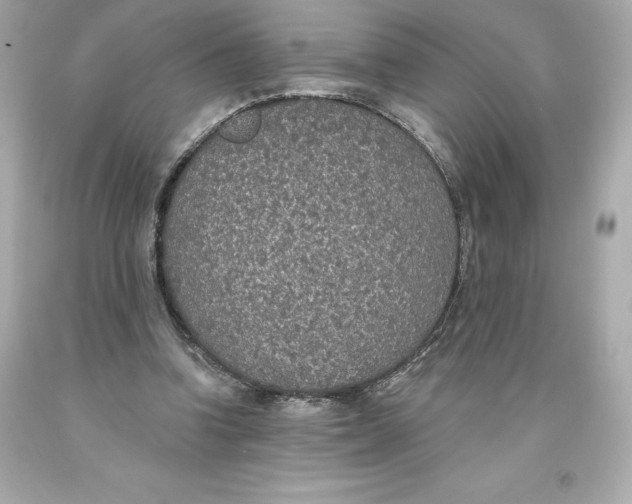 X0000093620346200711051243