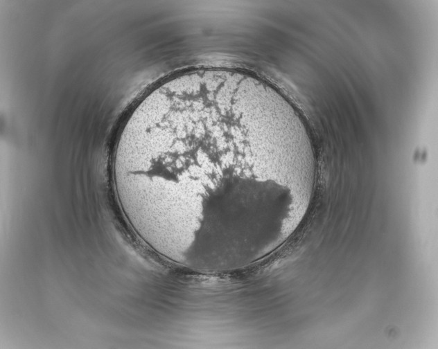 X0000093620347200711051243