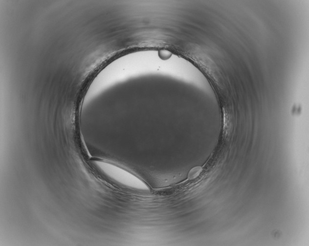 X0000093620348200711051244