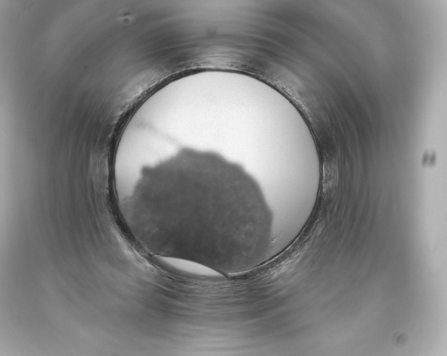 X0000093620349200711051244