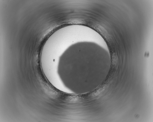 X0000093620351200711051244