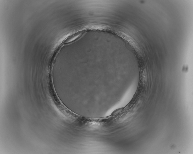 X0000093620352200711051244