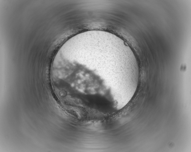 X0000093620353200711051244